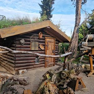 Eastern Spotted Skunk/ Virginia Opossum/North American Porcupine exhibit