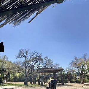 Brazos & Bluebonnet 2