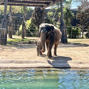 Brazos & Bluebonnet 3