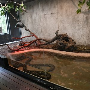 Reticulated Pythons tank (Reptile House)