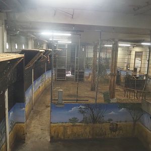 Giraffe stables in Mersus Emergo, 2022-09-14