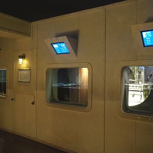 Turtle exhibits in Mersus Emergo, 2022-09-14