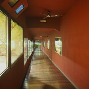 Visitor corridor and terrariums in the Mersus Emergo, 2022-09-14