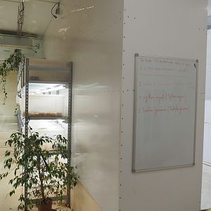 Off-show reptile area, 2022-09-14