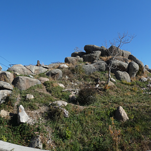 African Lion Exhibit, The African Grasslands - Oct. 2022