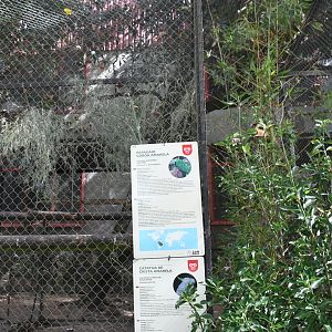 Yellow-crowned Amazon/Sulphur-crested Cockatoo cage