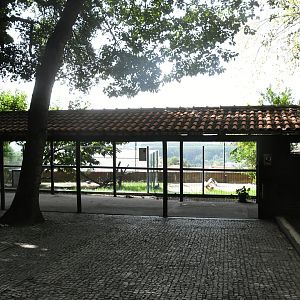 Row of outdoor Reptile pens