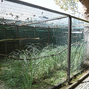 Parakeet Aviaries