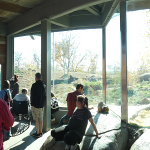 African Lion Viewing Shelter, The African Grasslands - Oct. 2022
