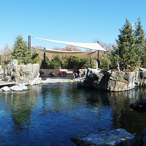 Sea Lion Shores - Oct. 2022