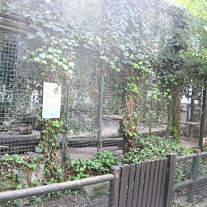 Vervet Monkeys/African Crested Porcupines cage