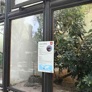 White-tufted Marmosets cage