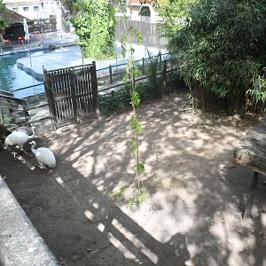Rheas pen and Fur Seals pool