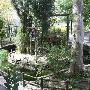 Gibbons Island (Lar Gibbons)