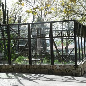 Ruffed Lemurs Exhibit