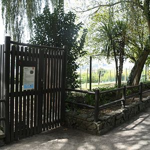 Red-crowned Cranes pen