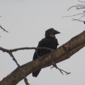 Can anyone identify?