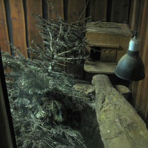 Dyrenes Verden - "Bird hallway" - Fox exhibit