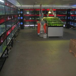 Dyrenes Verden - Aquarium room