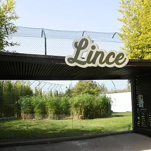 Northern Lynx exhibit