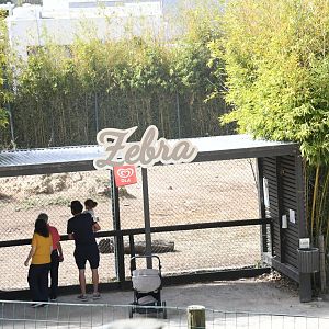 Plains Zebra exhibit