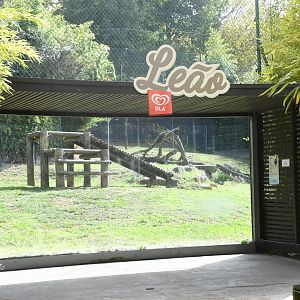 Lions exhibit