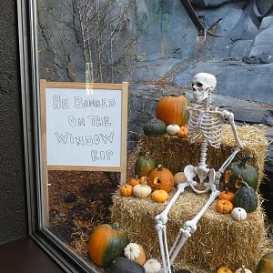 Greatest zoo joke of all time, Gorilla Valley - Oct. 2022