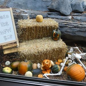 Greatest zoo joke of all time, Gorilla Valley - Oct. 2022