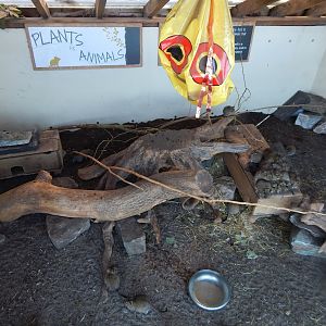 Degu enclosure 230922