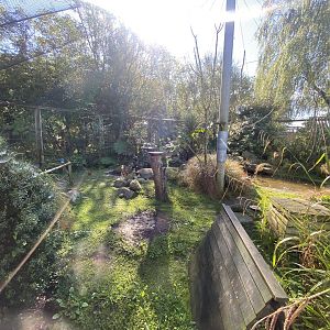 African Walkthrough Aviary 230922