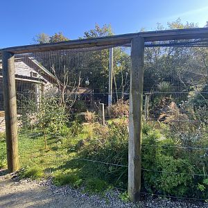 African Walkthrough Aviary 230922