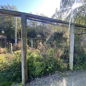 African Walkthrough Aviary 230922