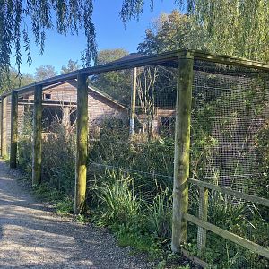 African Walkthrough Aviary 230922