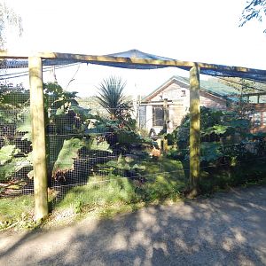 African Walkthrough Aviary 230922