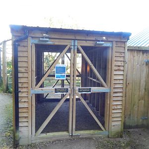 African Walkthrough Aviary entrance 230922