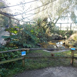 African Walkthrough Aviary 230922