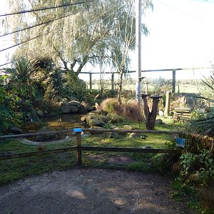 African Walkthrough Aviary 230922