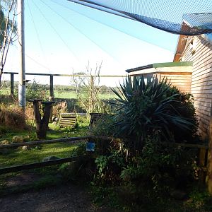 African Walkthrough Aviary 230922