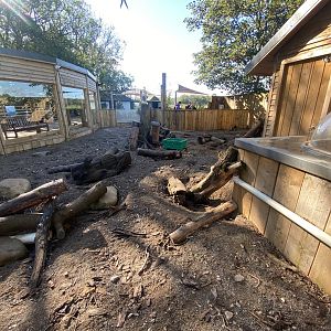 Meerkat enclosure 230922