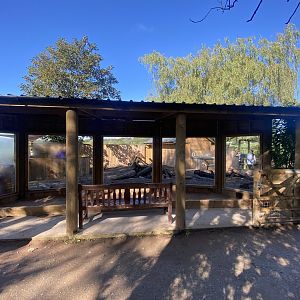 Meerkat enclosure viewing point 230922