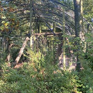 Snow leopard exhibit 230922