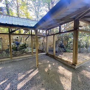 Scottish wildcat exhibit 230922