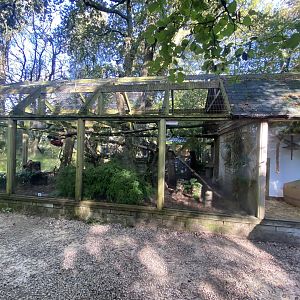 Fossa exhibit 230922