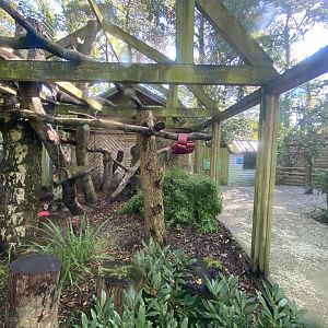 Fossa exhibit 230922