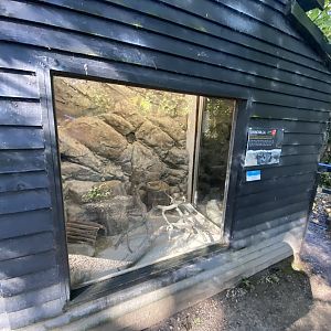 Chinchilla exhibit 230922