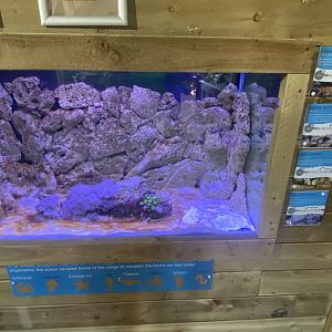 Aquarium exhibit 230922