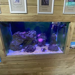 Aquarium exhibit 230922