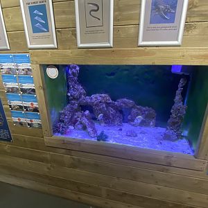 Aquarium exhibit 230922