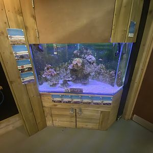 Aquarium exhibit 230922