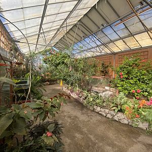 Butterfly Walkthrough 230922